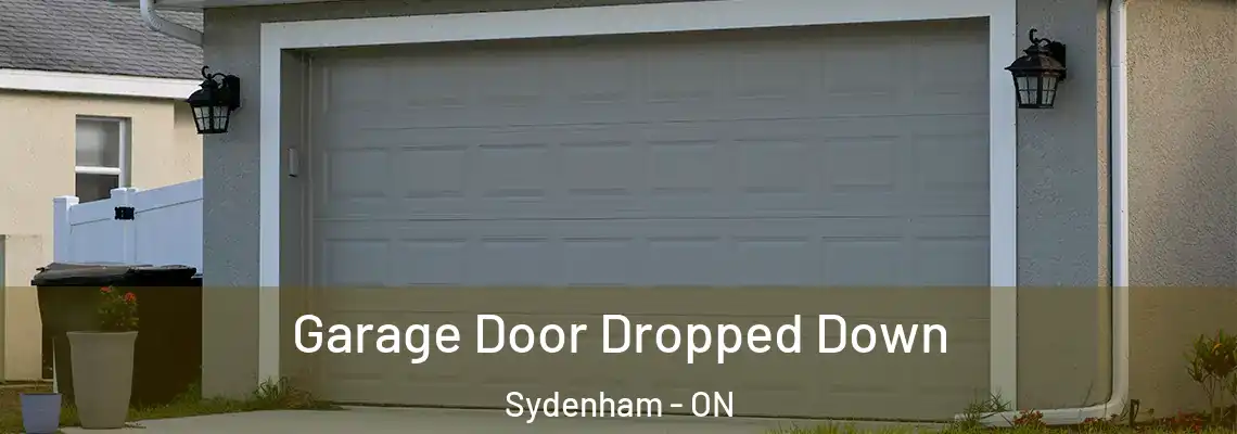 Garage Door Dropped Down Sydenham - ON