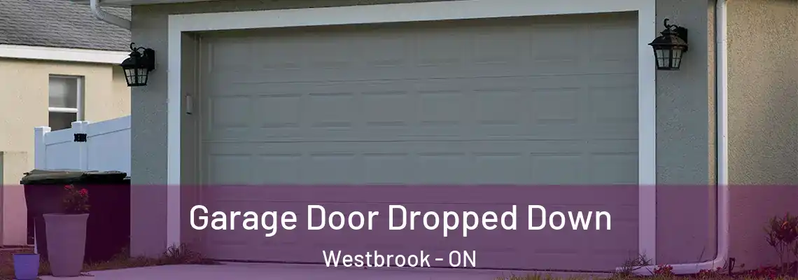 Garage Door Dropped Down Westbrook - ON