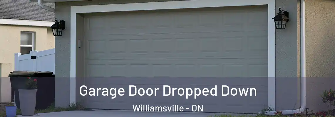 Garage Door Dropped Down Williamsville - ON