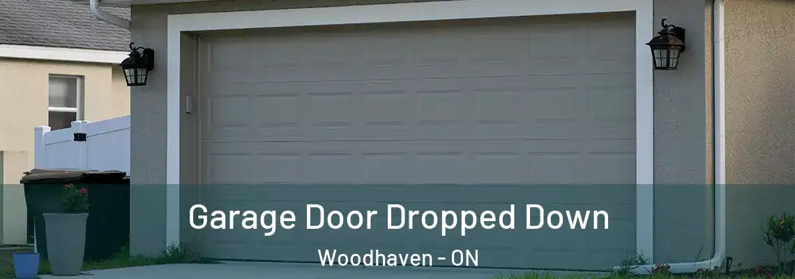 Garage Door Dropped Down Woodhaven - ON