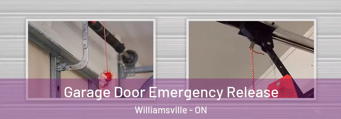 Garage Door Emergency Release Williamsville - ON