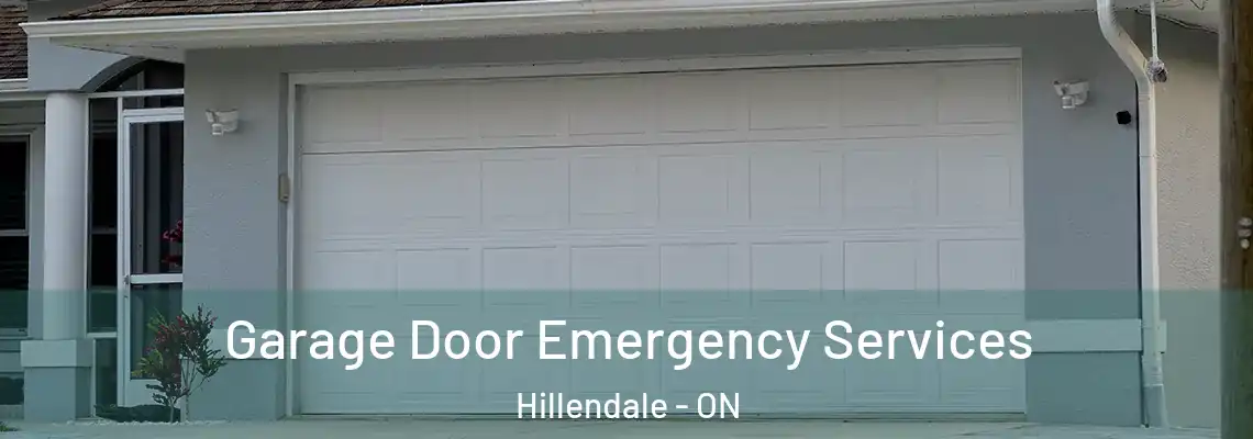  Garage Door Emergency Services Hillendale - ON