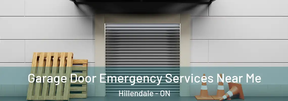 Garage Door Emergency Services Near Me Hillendale - ON
