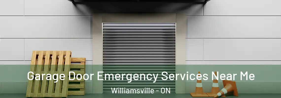  Garage Door Emergency Services Near Me Williamsville - ON