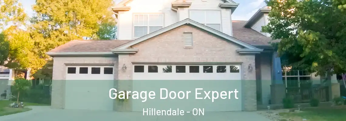 Garage Door Expert Hillendale - ON
