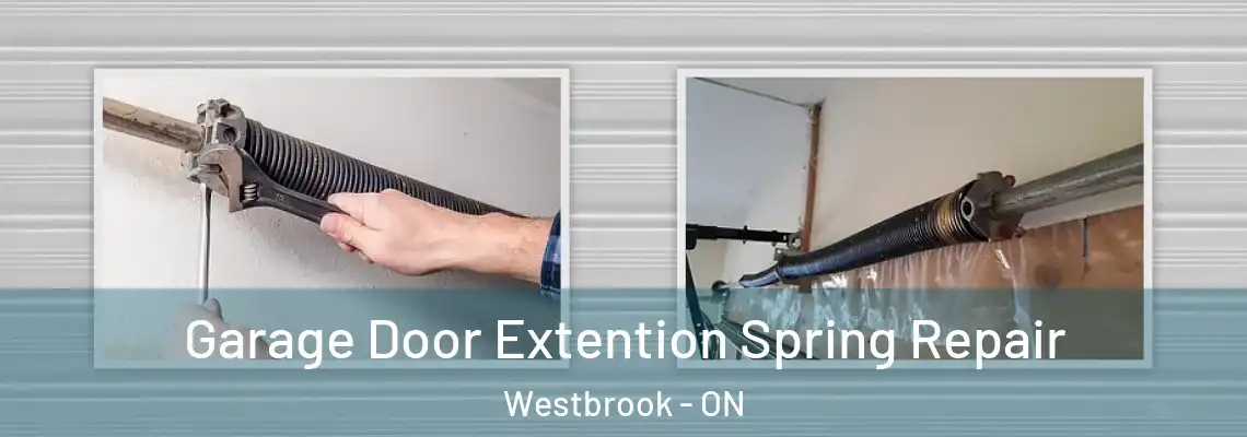  Garage Door Extention Spring Repair Westbrook - ON