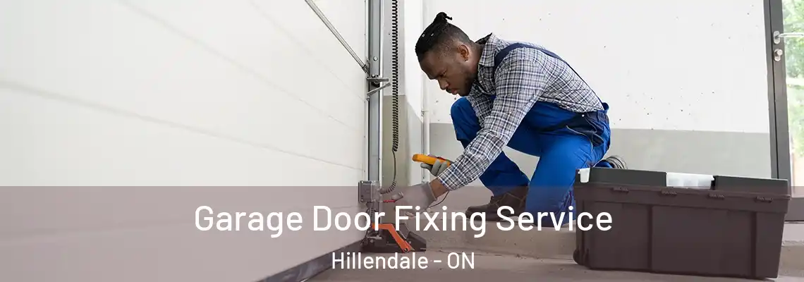  Garage Door Fixing Service Hillendale - ON