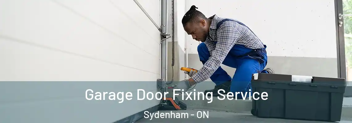  Garage Door Fixing Service Sydenham - ON