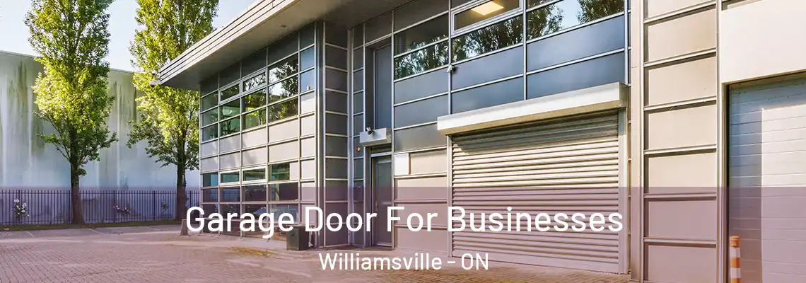Garage Door For Businesses Williamsville - ON