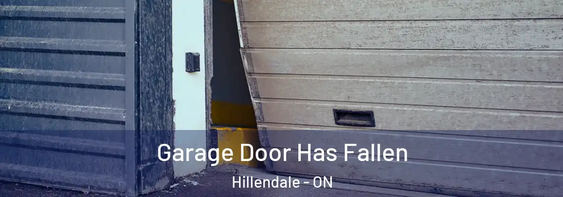 Garage Door Has Fallen Hillendale - ON