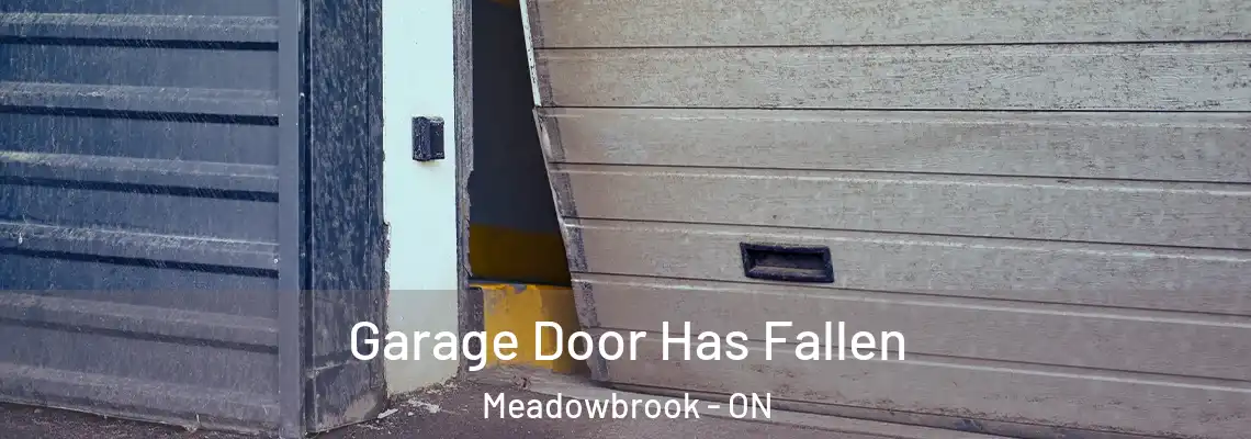 Garage Door Has Fallen Meadowbrook - ON