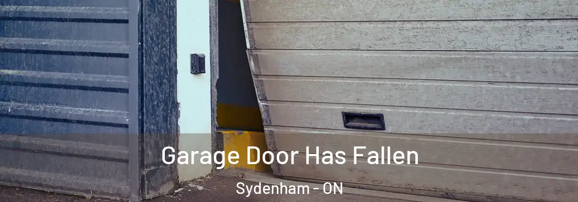  Garage Door Has Fallen Sydenham - ON