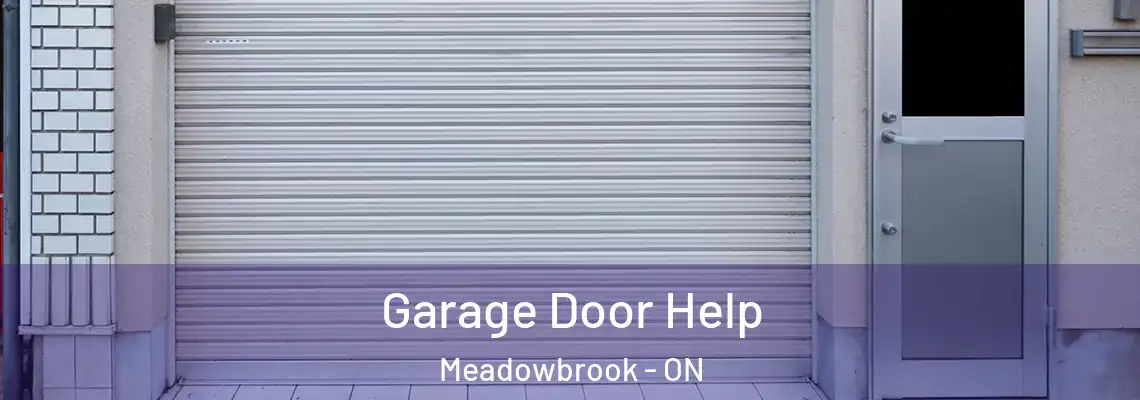 Garage Door Help Meadowbrook - ON