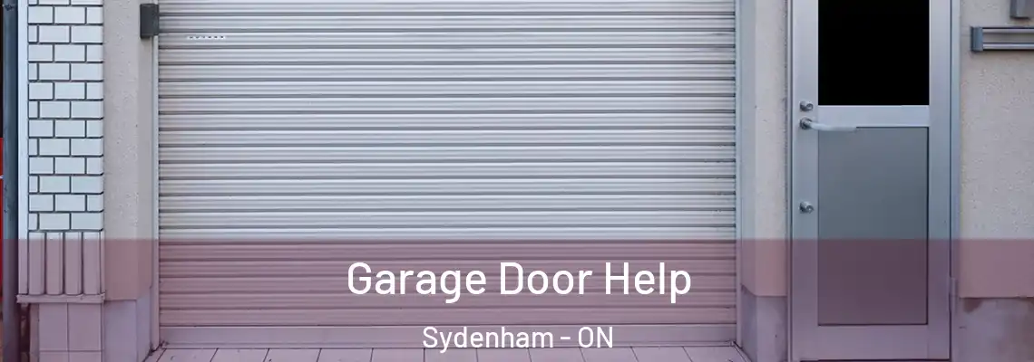  Garage Door Help Sydenham - ON