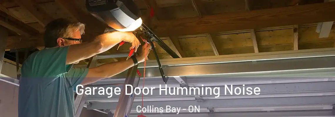 Garage Door Humming Noise Collins Bay - ON