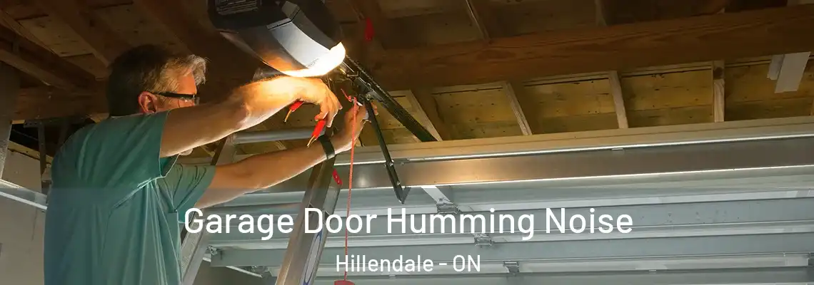  Garage Door Humming Noise Hillendale - ON