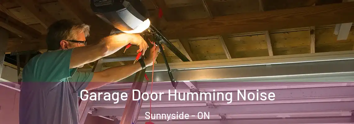 Garage Door Humming Noise Sunnyside - ON