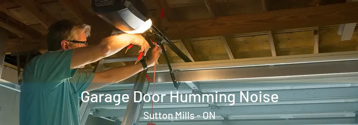 Garage Door Humming Noise Sutton Mills - ON