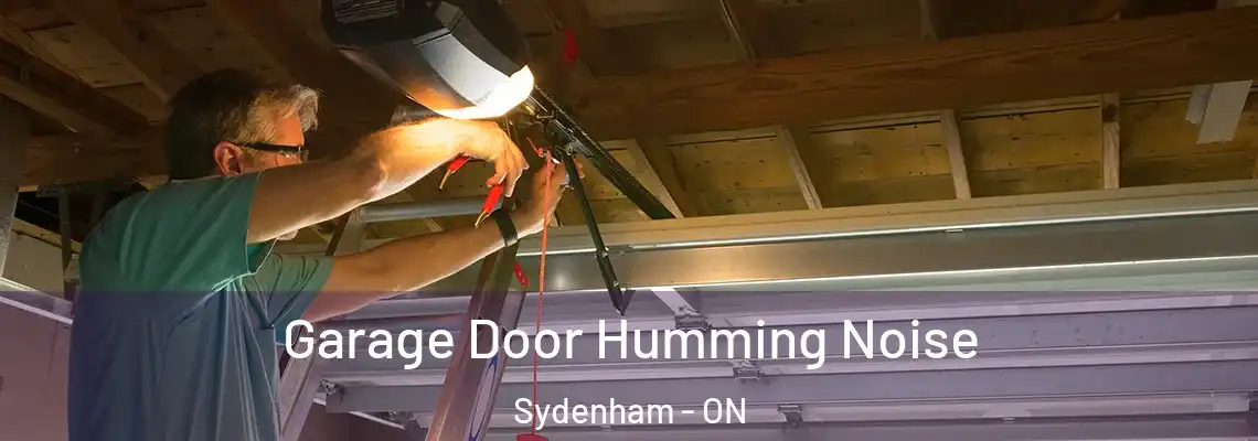 Garage Door Humming Noise Sydenham - ON