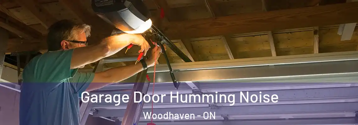  Garage Door Humming Noise Woodhaven - ON
