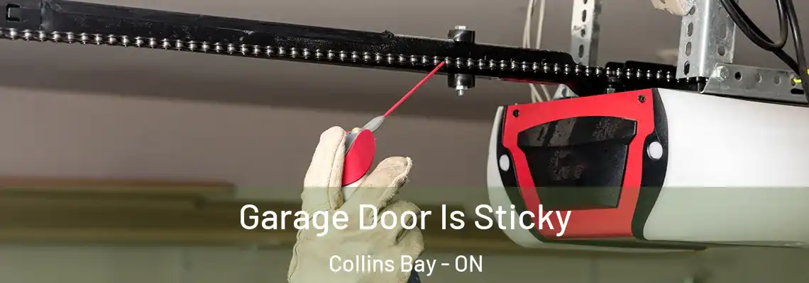 Garage Door Is Sticky Collins Bay - ON