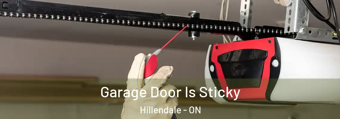 Garage Door Is Sticky Hillendale - ON