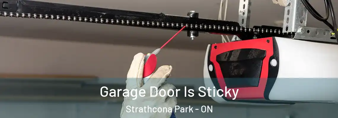 Garage Door Is Sticky Strathcona Park - ON