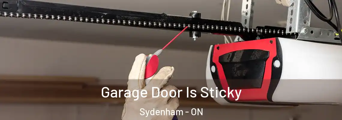  Garage Door Is Sticky Sydenham - ON