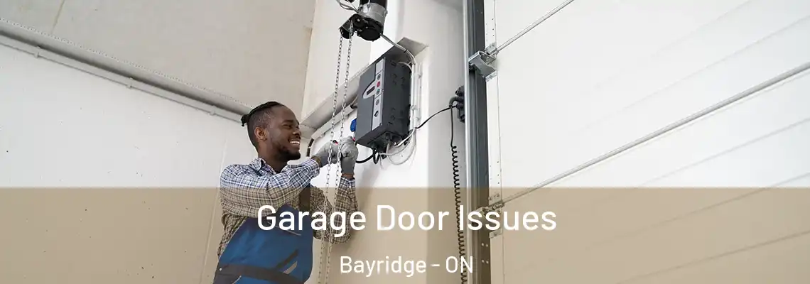 Garage Door Issues Bayridge - ON