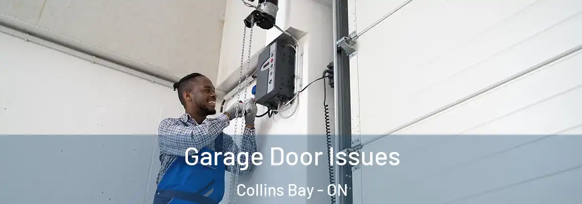Garage Door Issues Collins Bay - ON