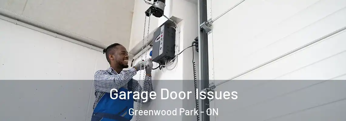 Garage Door Issues Greenwood Park - ON