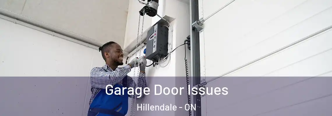  Garage Door Issues Hillendale - ON