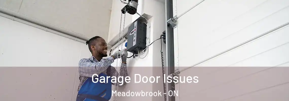 Garage Door Issues Meadowbrook - ON