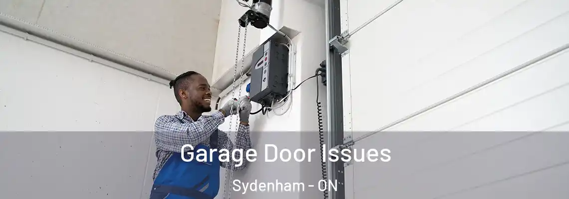 Garage Door Issues Sydenham - ON