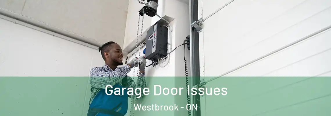 Garage Door Issues Westbrook - ON