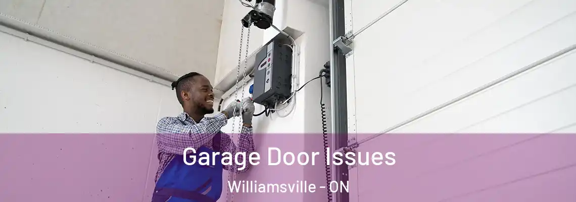 Garage Door Issues Williamsville - ON
