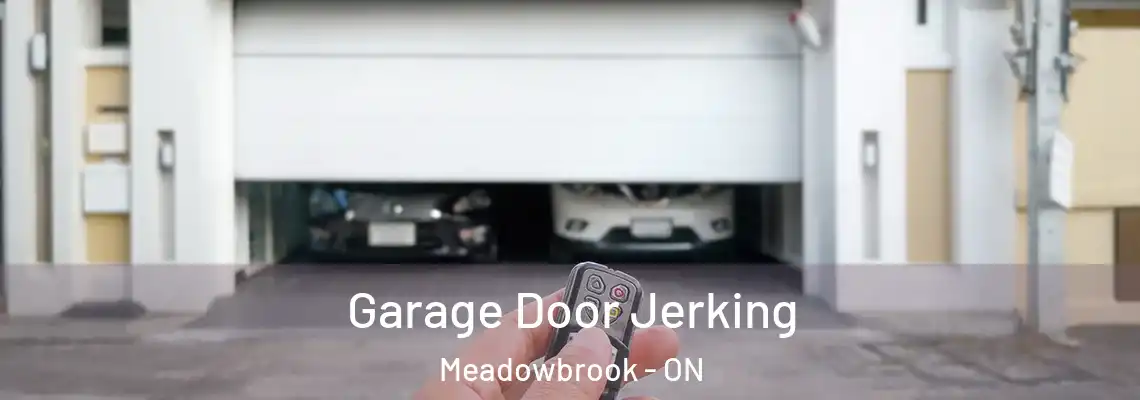 Garage Door Jerking Meadowbrook - ON