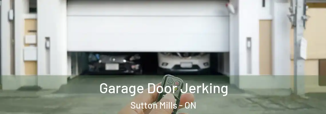  Garage Door Jerking Sutton Mills - ON