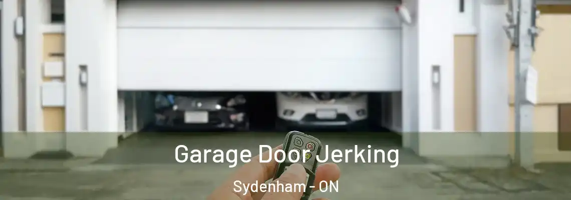  Garage Door Jerking Sydenham - ON