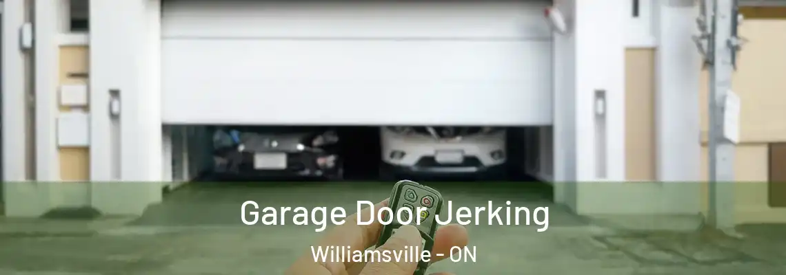 Garage Door Jerking Williamsville - ON