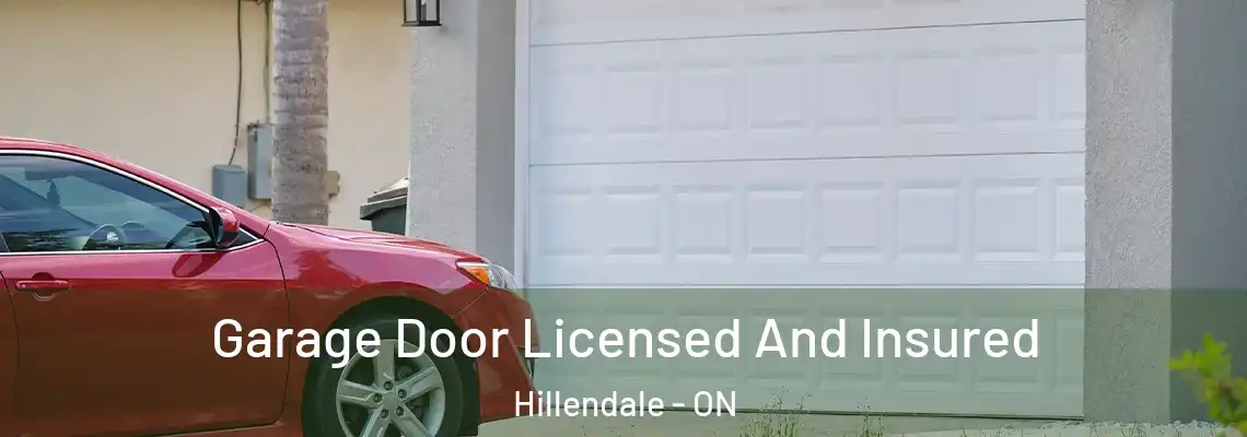 Garage Door Licensed And Insured Hillendale - ON