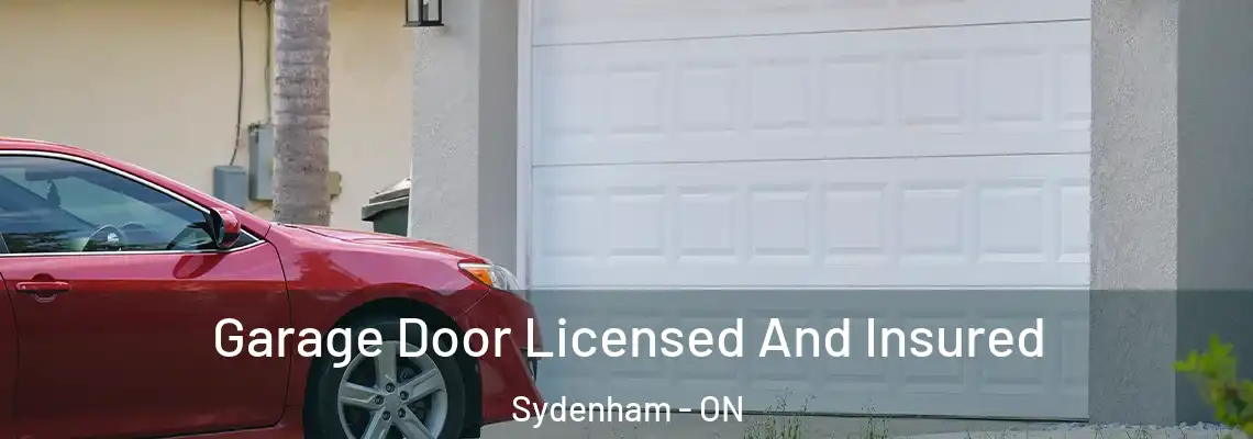 Garage Door Licensed And Insured Sydenham - ON