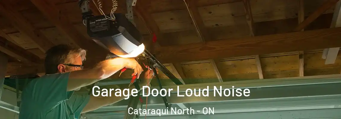 Garage Door Loud Noise Cataraqui North - ON