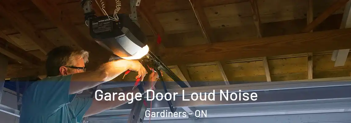 Garage Door Loud Noise Gardiners - ON