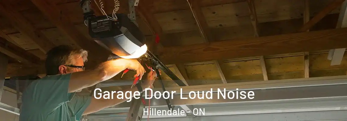 Garage Door Loud Noise Hillendale - ON