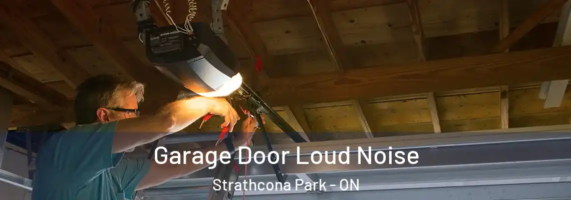Garage Door Loud Noise Strathcona Park - ON