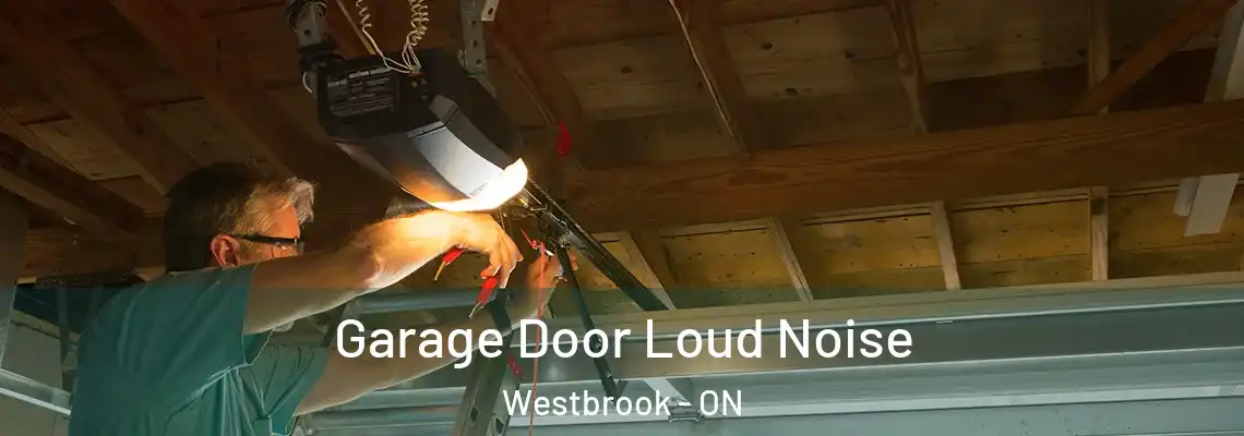 Garage Door Loud Noise Westbrook - ON