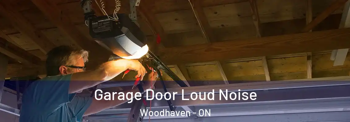 Garage Door Loud Noise Woodhaven - ON