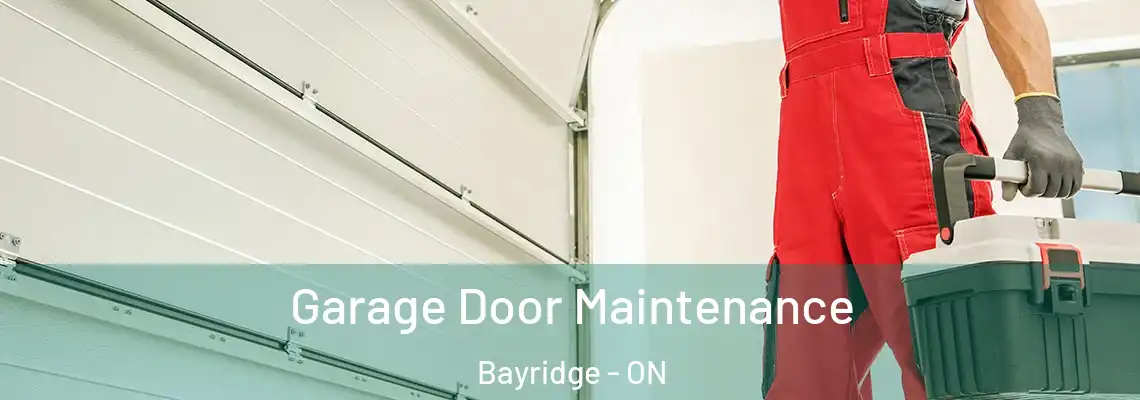 Garage Door Maintenance Bayridge - ON