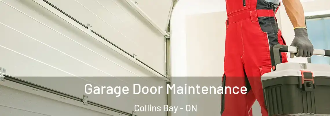  Garage Door Maintenance Collins Bay - ON